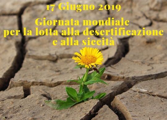 giornata mondiale siccita.jpg